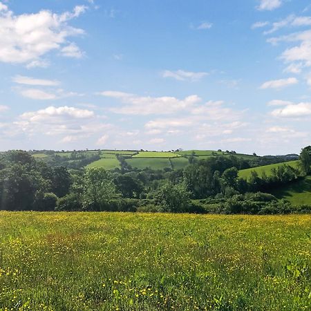 Вілла Ynywsen Dairy Flat Llanfynydd Екстер'єр фото