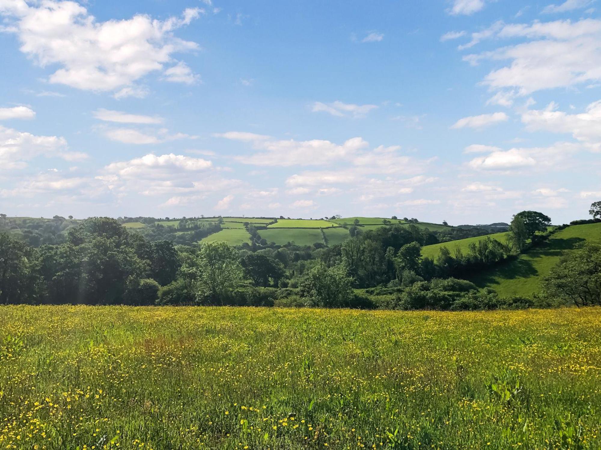 Вілла Ynywsen Dairy Flat Llanfynydd Екстер'єр фото